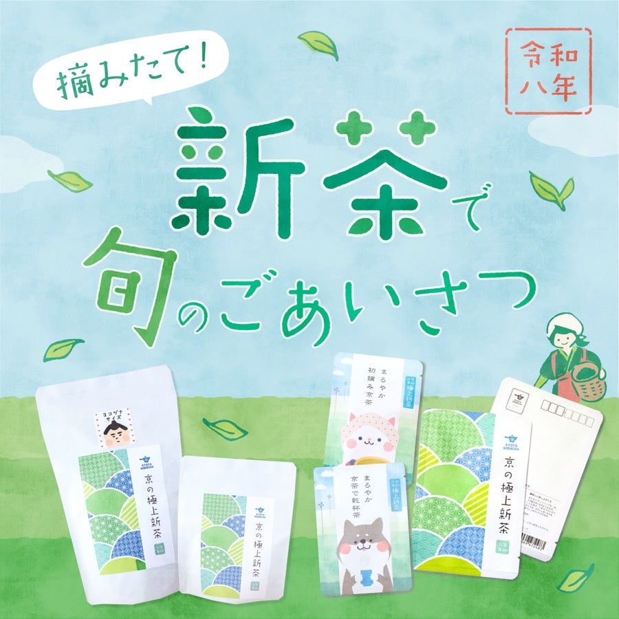 今年も新茶の季節がやってきました！