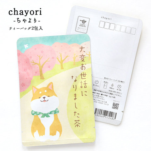 Thank you very much for your help, Cha (Cherry Blossom Trees and Shiba Inu)