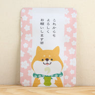 これからもよろしくお願いします茶（柴犬さんと桜）