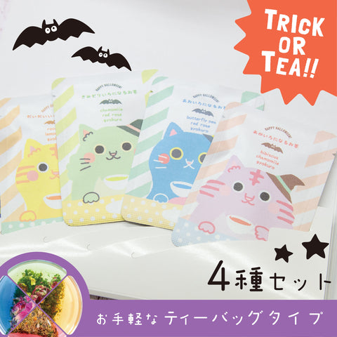 [Halloween Limited Edition] Hanyagyokuro Gift Box