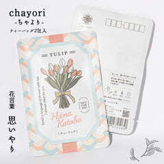 チューリップ（思いやり）