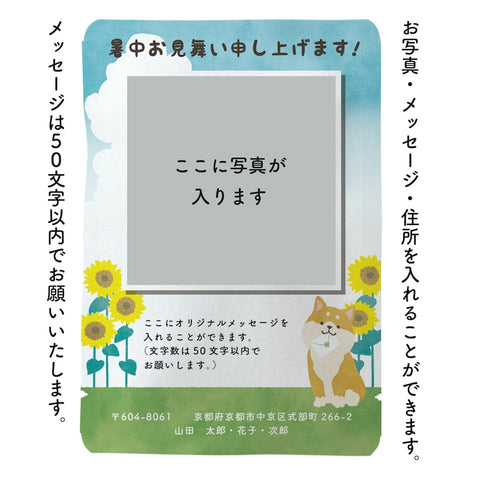 写真入chayori _暑中見舞い｜柴犬さんとひまわり柄 10個セット｜オリジナル写真＆メッセージ暑中見舞い茶