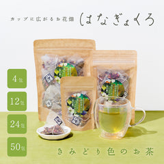はなぎょくろ きみどり色のお茶｜玉露・レッドローズ・カモミールのハーブティー ティーバッグ